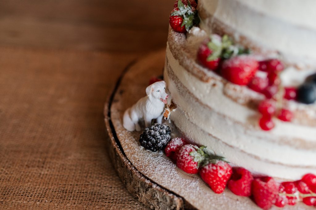 Taart op de bruiloft met mini hond erbij.