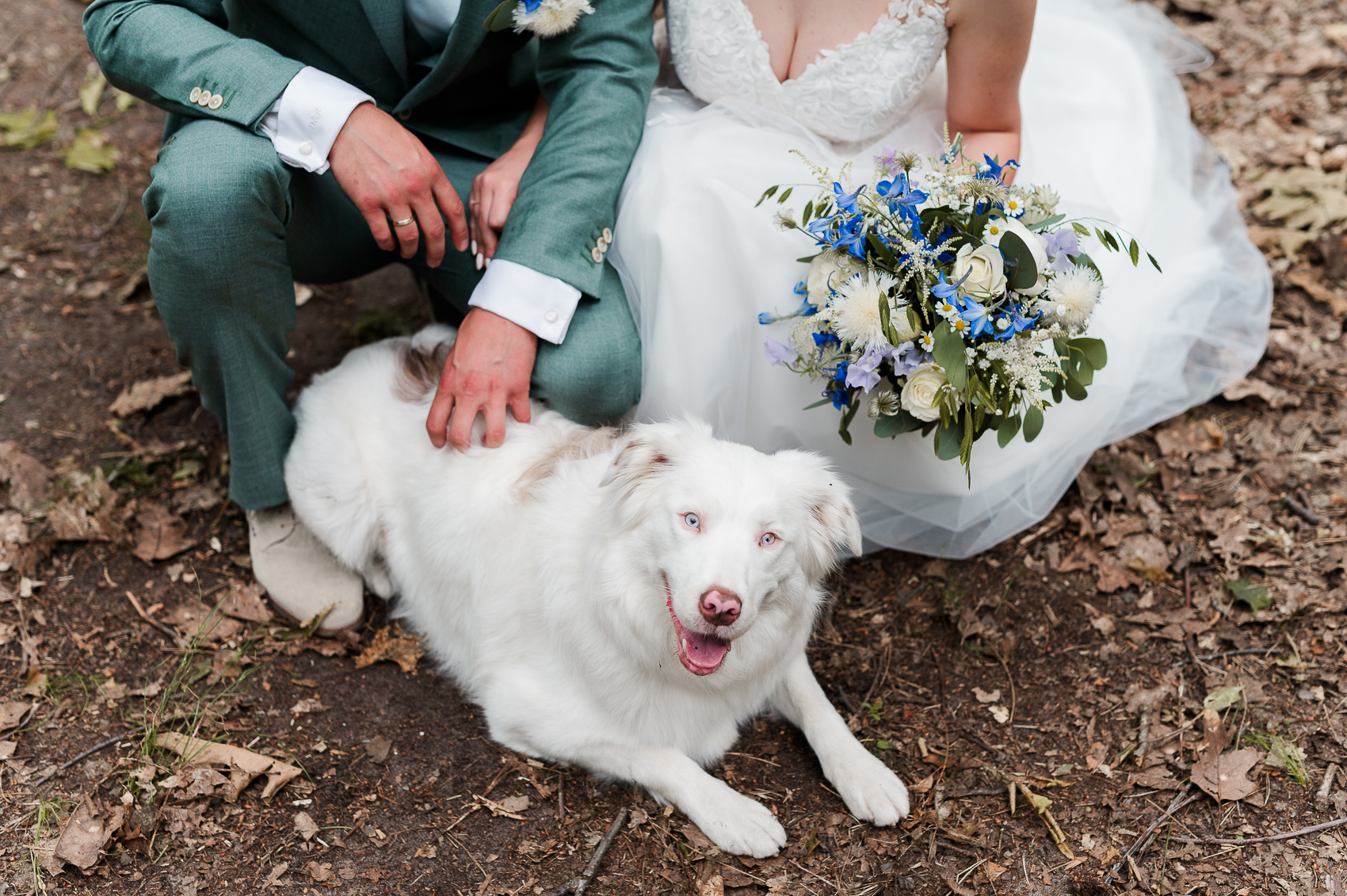 hond met een bruidspaar in beeld.